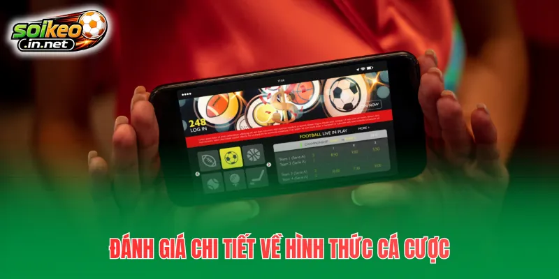 Đánh giá chi tiết về hình thức cá cược